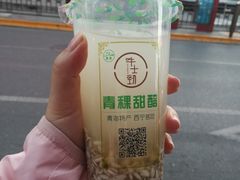 -德禄酸奶(莫家街店)