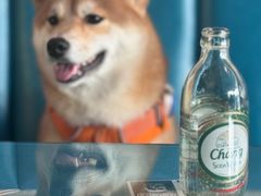 -My Way Town买味堂·东南亚餐厅(亦庄店)