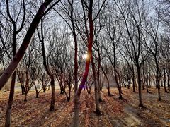 -长春公园(普阳街道)