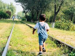 -永定河休闲森林公园