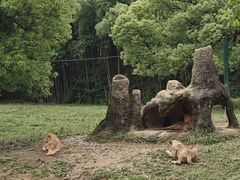 -杭州野生动物世界