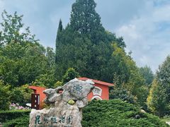 -昆明植物园