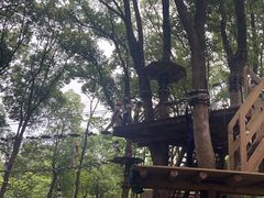 -WeLope紫金山探险公园