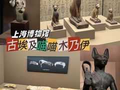 -上海博物馆(人民广场馆)
