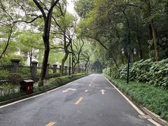 -杭州花家山庄