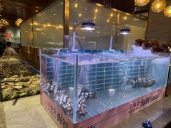 -丰卓会海鲜自助(中润大道店)