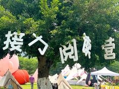 -广西壮族自治区药用植物园