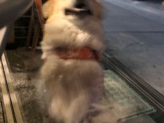 -兔爸私家小厨(新北万达店)