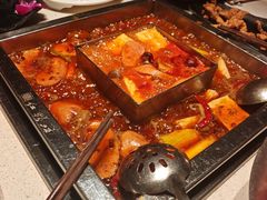 -红鼎坊·老成都火锅(新南门店)
