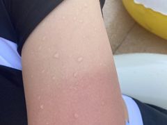 -重庆海昌加勒比海水世界