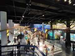 -国家自然博物馆