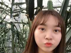 -北京植物园-展览温室