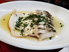 清蒸白鱼-协和菜馆(凤凰街店)