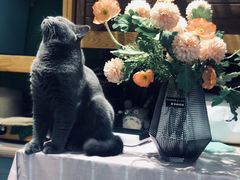 -花与咖啡馆(金星楼店)