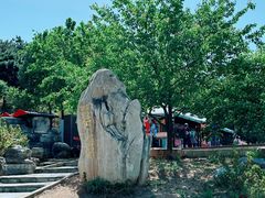 -北京西山国家森林公园