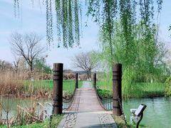-苏州太湖国家湿地公园
