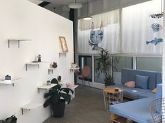-有猫主题·治愈系猫咖(曾厝垵店)