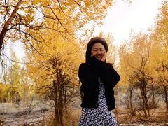 -金塔沙漠胡杨林景区