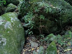 -梧桐山风景名胜区