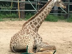 -三亚千古情景区游客中心-接待中心