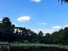 -香山公园