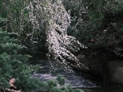 -中国茶叶博物馆(双峰馆区)