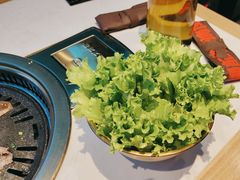 -杨记齐齐哈尔烤肉(总店)