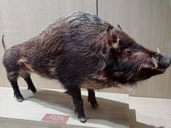-中国农业博物馆