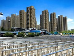 -曹州牡丹园