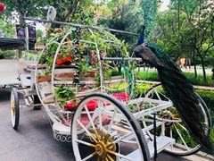 -石家庄市动物园