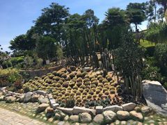 -胡里山炮台