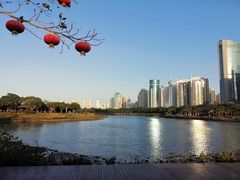 -万绿园