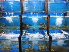 水产区-老东镇啤酒屋海鲜加工·蒸汽海鲜·海鲜烧烤(台东店)