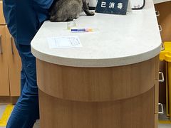 -联合动物医院(光谷诊疗中心)