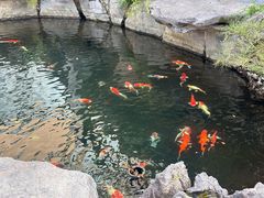 -新荣记(西溪湿地店)