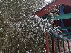 -丰台花园