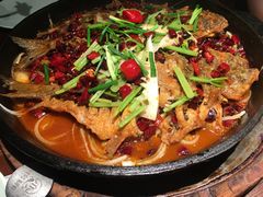 -老板恋上鱼(高新万达店)