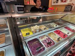 -Patagonia Chocolates(皇后镇店)