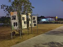 -长洲岛