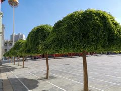 -西宁市东关清真大寺