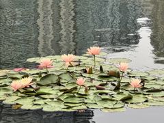 -西北湖绿化广场