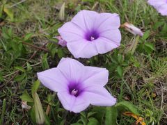 -七星潭蓝天广场