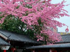 -风云岭森林公园