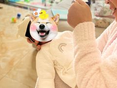 -田螺阿姨自营月嫂·育儿嫂(高新店)