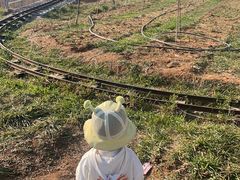 -名花谷生态庄园