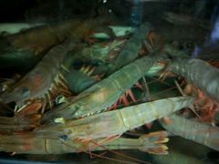 -明记海鲜美食老字号(明记总店)