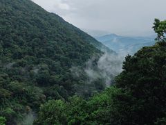 -海南热带雨林国家公园吊罗山景区