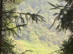 -南山植物园
