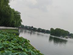 景点-什刹海-后海