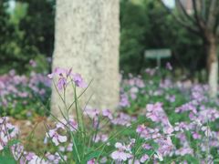 -白塘生态植物园